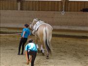 voltitag 2009 _CD1 134